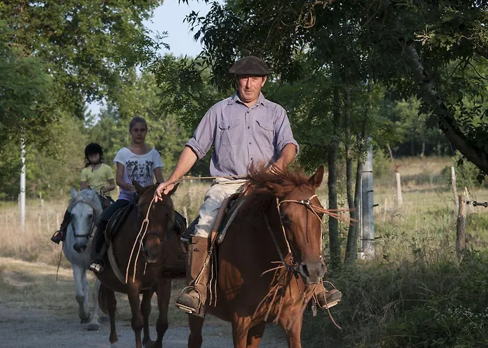 ベッド・アンド・ブレックファスト Les Huguets 3*